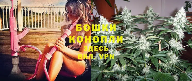 Марихуана OG Kush  Корсаков 